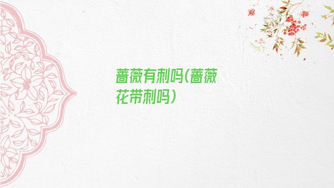 蔷薇有刺吗(蔷薇花带刺吗)