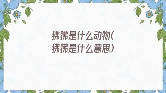 狒狒是什么动物(狒狒是什么意思)