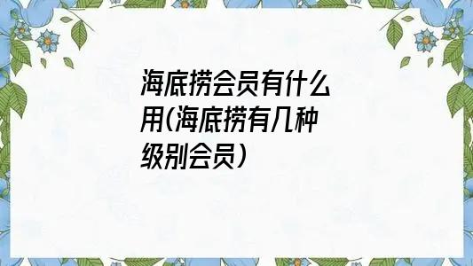 海底捞会员有什么用(海底捞有几种级别会员)