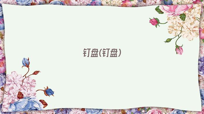 钉盘(钉盘)