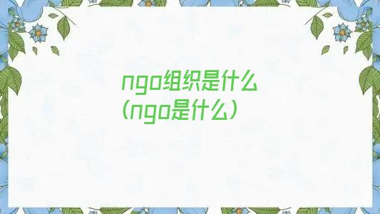 ngo组织是什么(ngo是什么)
