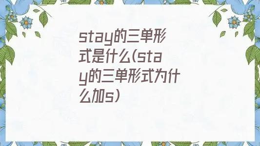stay的三单形式是什么(stay的三单形式为什么加s)