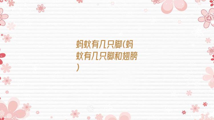 蚂蚁有几只脚(蚂蚁有几只脚和翅膀)