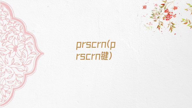 prscrn(prscrn键)