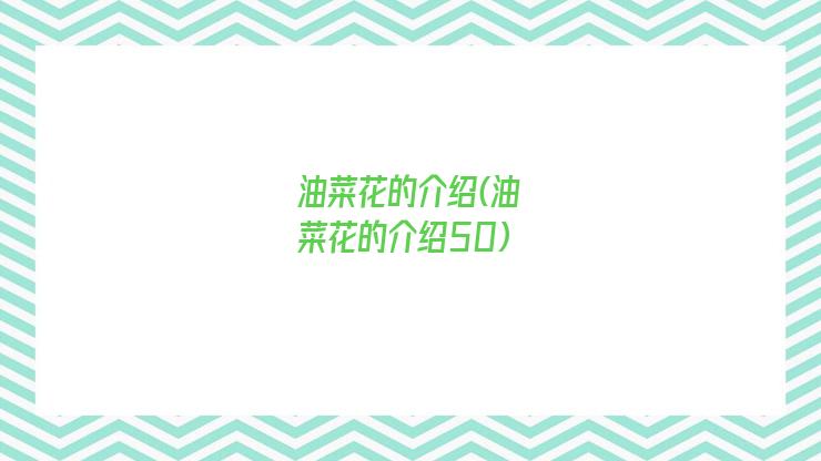 油菜花的介绍(油菜花的介绍50)
