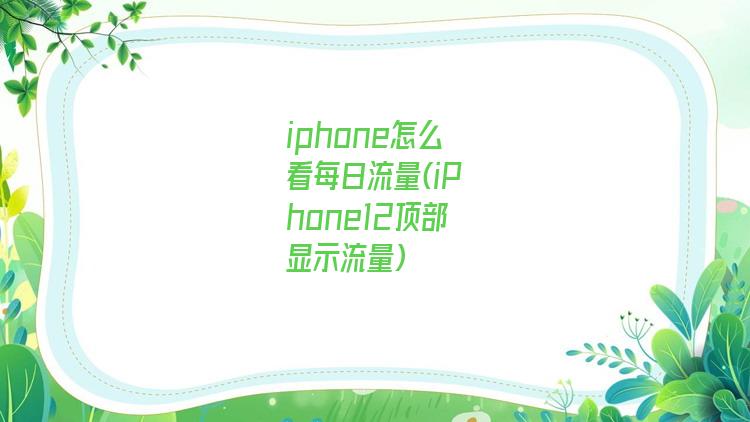 iphone怎么看每日流量(iPhone12顶部显示流量)