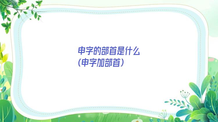 申字的部首是什么(申字加部首)