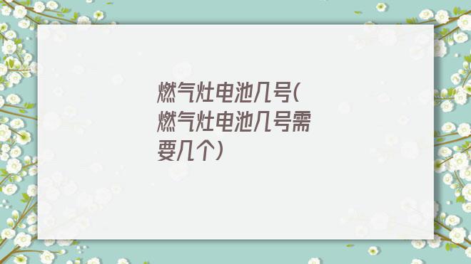 燃气灶电池几号(燃气灶电池几号需要几个)