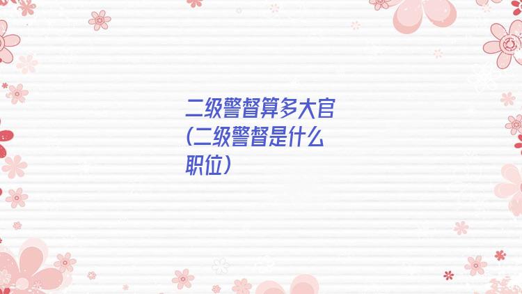 二级警督算多大官(二级警督是什么职位)