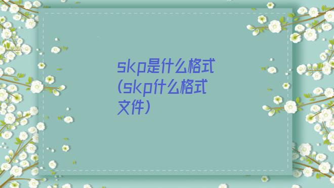 skp是什么格式(skp什么格式文件)