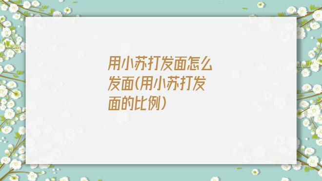 用小苏打发面怎么发面(用小苏打发面的比例)