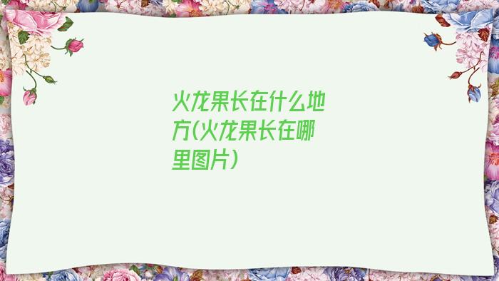 火龙果长在什么地方(火龙果长在哪里图片)