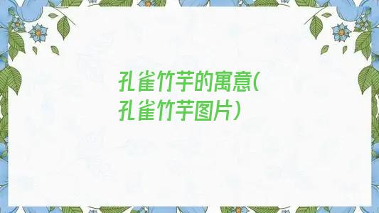 孔雀竹芋的寓意(孔雀竹芋图片)