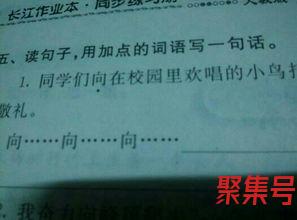 落的加点字词句子 关于日落的词语,句子,好段