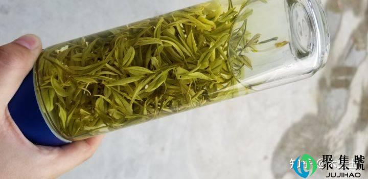 喝绿茶的玻璃杯,有没有优质的杯子推荐?