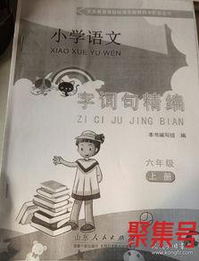 关于六年级上册字词句精编全套（文案素材)