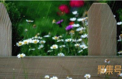 关于有关春雨的词句（文案素材)