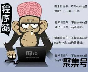 关于学会享受生活的词句（文案素材)