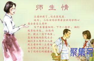 关于师生情的词句（文案素材)