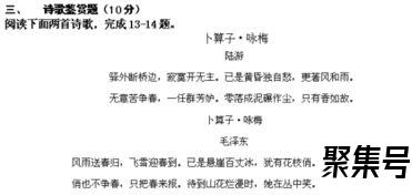 关于描写梅花生长环境的词句（文案素材)
