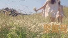 关于关于西湖的忧伤的词句（文案素材)