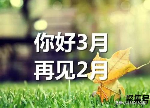 关于关于二三月份的美词句（文案素材)