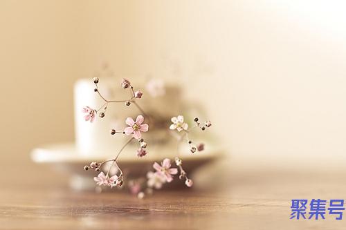 嵇康怎么读(嵇康怎么读音)