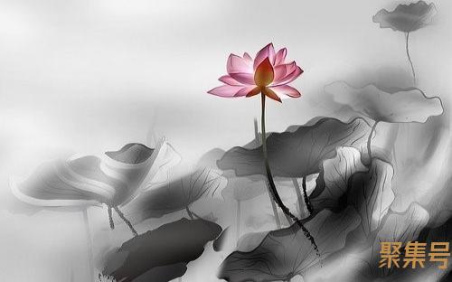 长善救失什么教学原则(长善救失原则名词解释)
