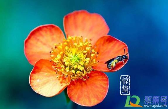 2021什么时候惊蛰(2021惊蛰是几月几日)