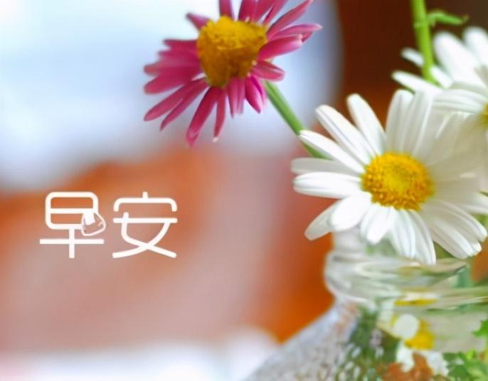 高情商早安问候方式简单短语（高情商早安问候方式简单短语给男朋友）