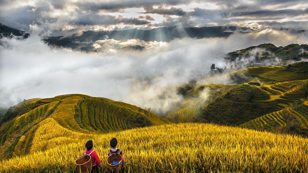 《乡土中国》读后感