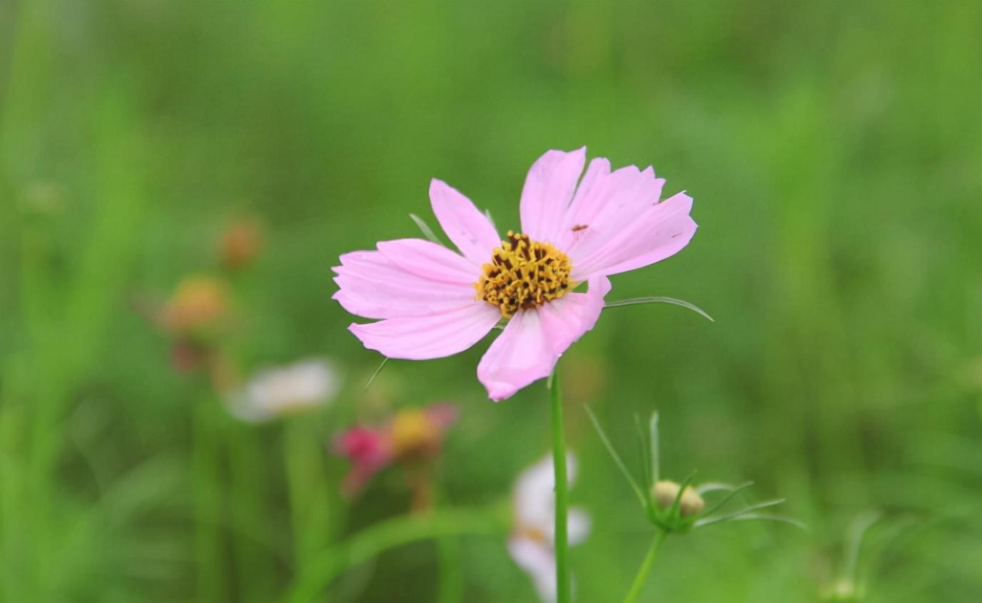 人过五十,穷养自己的人,后半生不好过