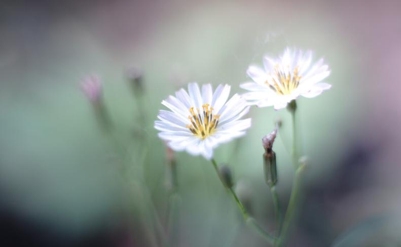 人过五十,穷养自己的人,后半生不好过
