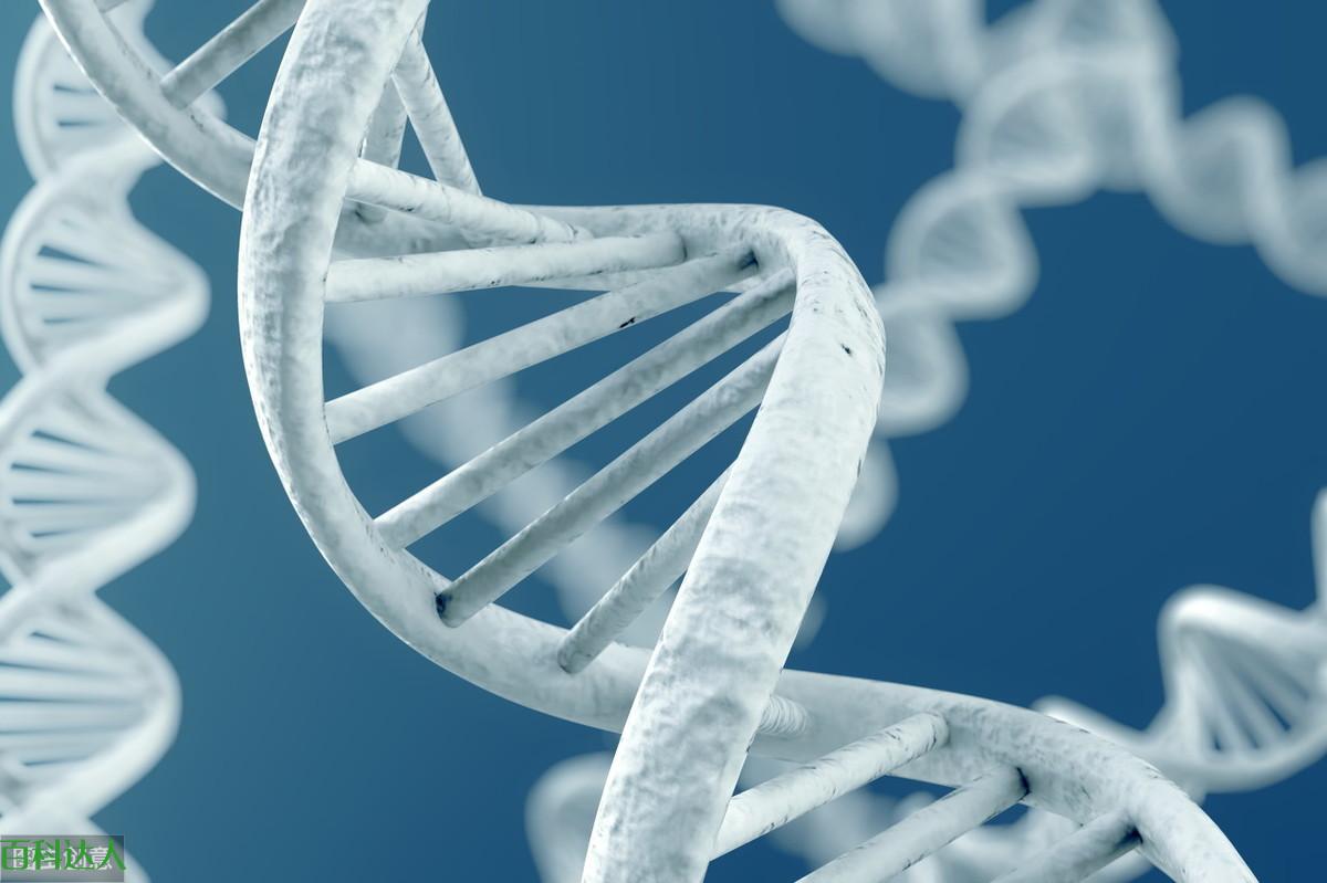 基因是什么?