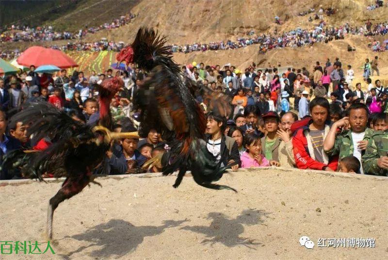 【文化遗产】苗族花山节