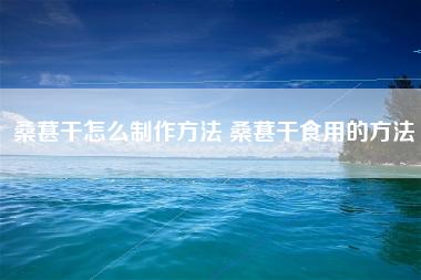 桑葚干怎么制作方法 桑葚干食用的方法 桑葚干怎么制作方法 桑葚干食用的方法