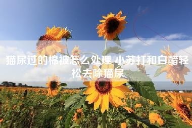 猫尿过的棉被怎么处理 小苏打和白醋轻松去除猫尿 猫尿过的棉被怎么处理 小苏打和白醋轻松去除猫尿