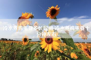 冷水煮鸡蛋要多长时间 冷水煮鸡蛋要十分钟左右 冷水煮鸡蛋要多长时间 冷水煮鸡蛋要十分钟左右