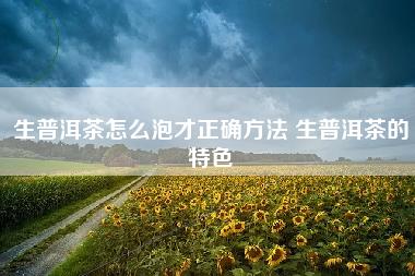 生普洱茶怎么泡才正确方法 生普洱茶的特色 生普洱茶怎么泡才正确方法 生普洱茶的特色