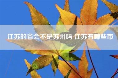 江苏的省会不是苏州吗 江苏有哪些市 江苏的省会不是苏州吗 江苏有哪些市