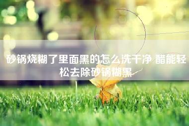 砂锅烧糊了里面黑的怎么洗干净 醋能轻松去除砂锅糊黑 砂锅烧糊了里面黑的怎么洗干净 醋能轻松去除砂锅糊黑