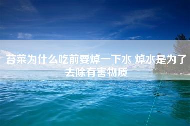 苔菜为什么吃前要焯一下水 焯水是为了去除有害物质 苔菜为什么吃前要焯一下水 焯水是为了去除有害物质