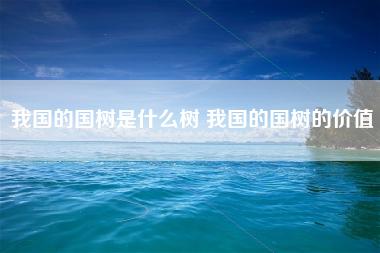 我国的国树是什么树 我国的国树的价值 我国的国树是什么树 我国的国树的价值
