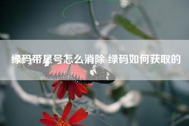 绿码带星号怎么消除 绿码如何获取的 绿码带星号怎么消除 绿码如何获取的