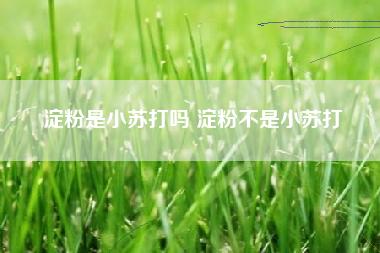 淀粉是小苏打吗 淀粉不是小苏打 淀粉是小苏打吗 淀粉不是小苏打