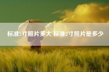 标准2寸照片多大 标准2寸照片是多少 标准2寸照片多大 标准2寸照片是多少