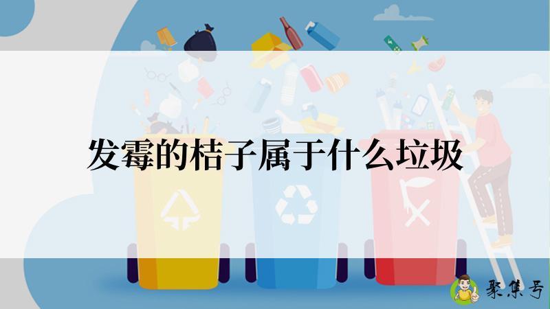 发霉的桔子属于什么垃圾