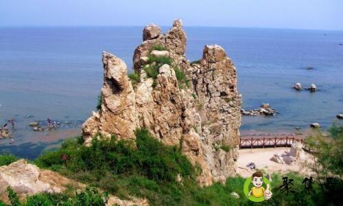 鸽子窝营业时间