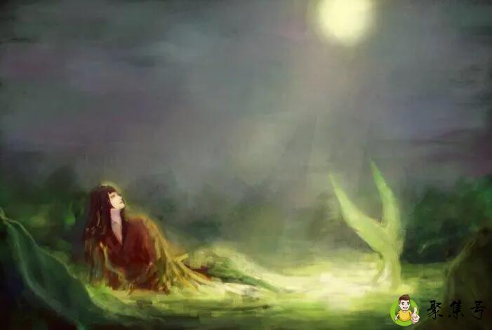 网络用语鱼精女孩是什么意思