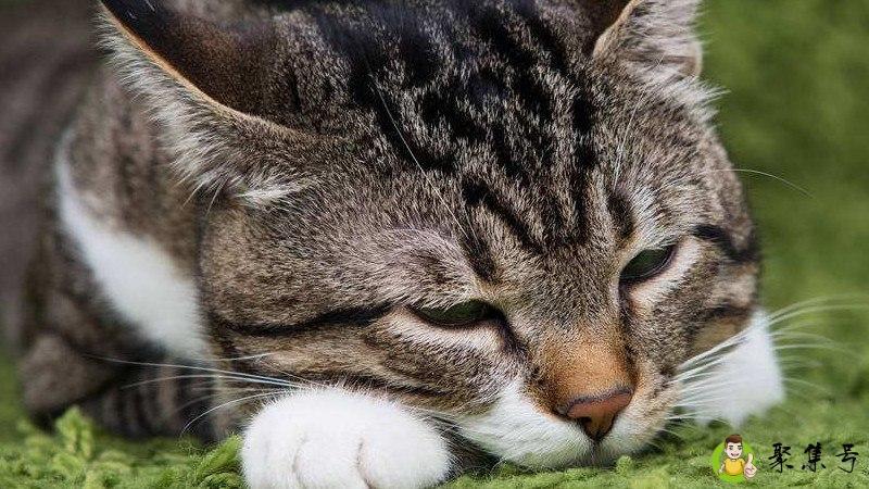 你无法叫醒一个装睡的人后半句